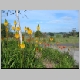 Northland Trip 054.jpg